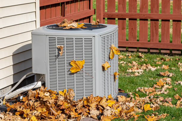 Best HVAC air duct cleaning  in Dahlone, GA